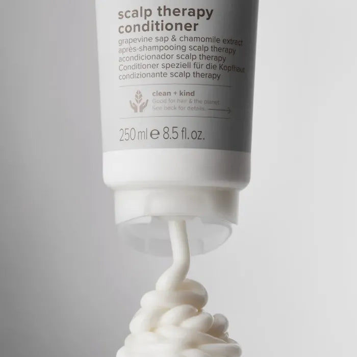 Clean Beauty By Paul Mitchell Scalp Therapy Conditioner 1000ml