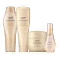 Shiseido Professional Sublimic Aqua Intensive Quad