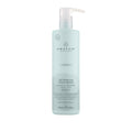 Paul Mitchell Awapuhi Wild Ginger Intensive Treatment® 500ml
