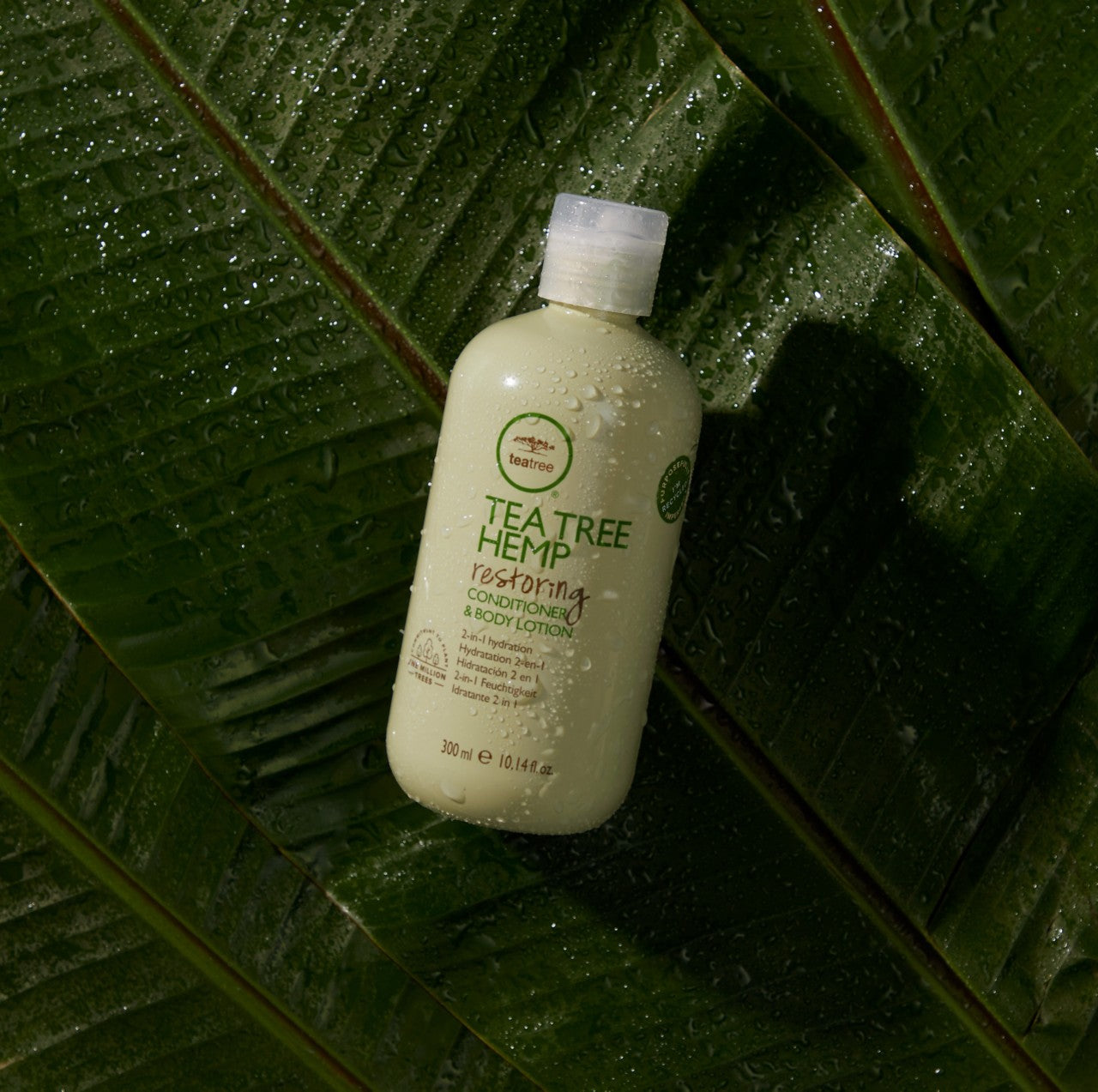 Paul Mitchell Tea Tree Hemp Restoring Conditioner and Body Lotion 300ml