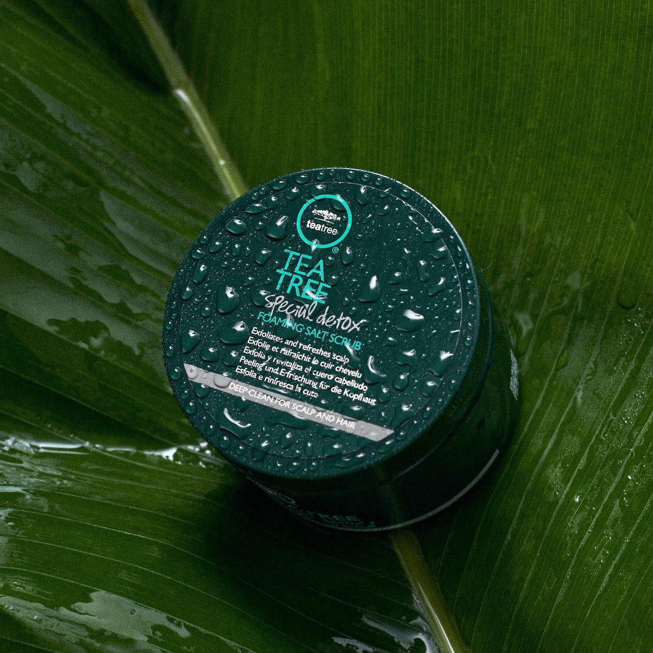 Paul Mitchell Tea Tree Special Detox Foaming Salt Scrub 184g