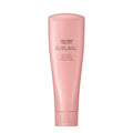 Shiseido Professional Sublimic Airy Flow Treatment Unruly Hair 250g