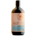 Naturally Speaking Purifying Shampoo 500ml